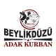 bduzu ins pp